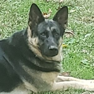 Meet your Posher, Donna